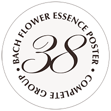 Bach Flower Essence Poster Complete Group