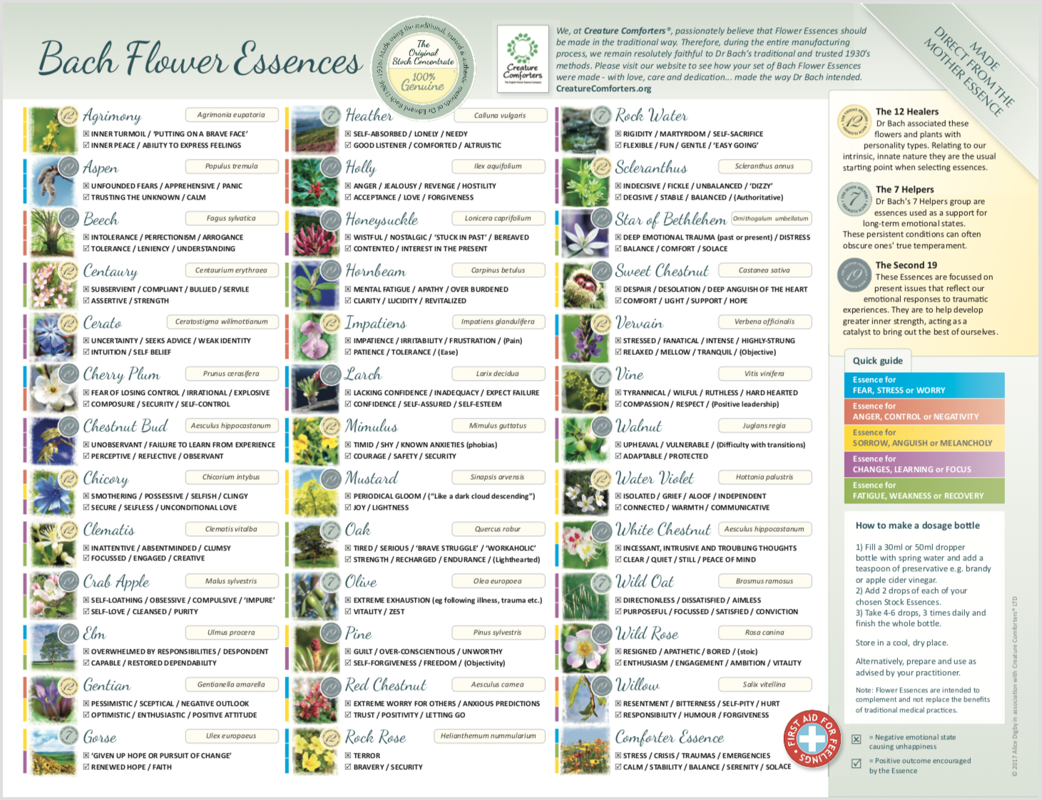 Flower Essence Chart